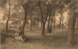 DE PANNE   SOUS BOIS  A L'ENTREE DU VILLAGE             2 SCANS - De Panne