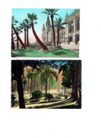 Lot 2 Cpm - Principauté De MONACO - Le Casino - Contre-jour Sur Les Jardins - Rella 169 / Mar 5658 -- Arbre - Jardín Exótico