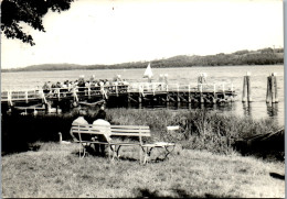 43905 - Deutschland - Ferch , Steg Am See - Gelaufen 1975 - Ferch