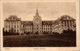 43532 - Deutschland - Zerbst , Herzoglisches Schloß - Gelaufen 1916 - Zerbst