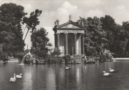 O4001 Roma - Villa Borghese - Il Giardino Del Lago / Viaggiata 1954 - Parken & Tuinen