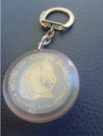 Porte-Clé Publicitaire Ancien/Hôtellerie/Hôtel Du Cheval Blanc/"ROMILLY Haute Savoie"/Plastique/Vers 1960-1970    POC650 - Key-rings