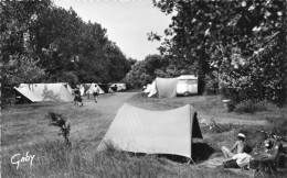 14 Cabourg  Camping - Cabourg