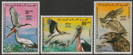 THEMATIC BIRDS: IBIS SACRE, MARABOUT, AIGLE   -   MAURITANIE - Aigles & Rapaces Diurnes