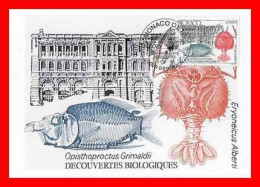 CPSM/gf MONACO.  Découvertes Biologiques "Opisthoproctus Grimaldii..*3636 - Musée Océanographique