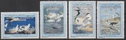 Mauritania Mauritanie 1994 Mi. 1025 - 1027 Birds Oiseaux Vögel Banc D'Arguin Fauna SCARCE MNH** - Möwen