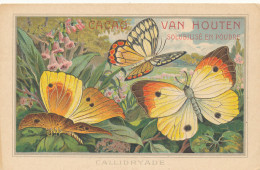  N 236-  1   CHROMO-   CACAO VAN HOUTEN  PAPILLON - CALLIDRYADE  - Van Houten