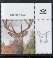 ESTONIA 2023 - Estonian Fauna - Red Deer (05.10.2023) - Estonia
