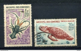N° 35 - 37  - Oblitérés - Comores (1975-...)