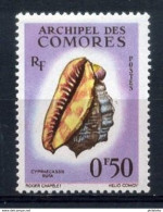 N° 19  - Neuf (légère Trace De Charnière) - Comores (1975-...)