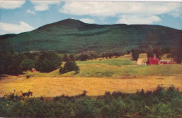 Lincoln Mountain - Vermont - Formato Piccolo Non Viaggiata – FE390 - Sonstige & Ohne Zuordnung