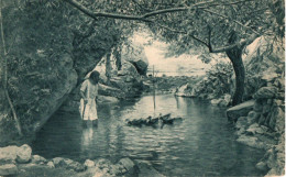 PALESTINA - THE SPRING AT AIN FARA - Palestine