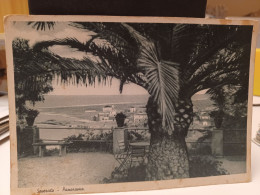 Cartolina Soverato Provincia Catanzaro ,panorama, Palma 1941 - Catanzaro