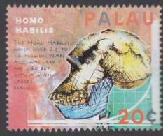 Homo Habilis, Skull, Archaeology, Graph Chart, MNH Palau - Archéologie