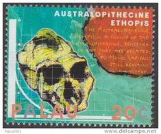 Australopithecine, Australopithecina, Ethopis, Skull, Archaeology, Graph, Chart, Earlier Ardipithecus, MNH Palau - Archéologie