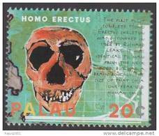 Homo Erectus Extinct Species Of Archaic Human From The Pleistoce, Skull, Skeleton, Archaeology, Graph, Chart, MNH Palau - Archéologie