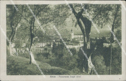 Ch405 Cartolina Arco Panorama Dagli Ulivi Provincia Di Trento Trentino 1916 - Trento