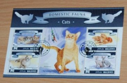 MALDIVES 2015, Cats, Animals, Souvenir Sheet, Used - Chats Domestiques