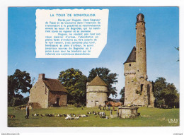 61 Bagnoles De L'Orne Tour De BONVOULOIR Chevaux De Trait Basse-cour Chien VOIR DOS Et Flamme De FLERS En 1979 - Bagnoles De L'Orne