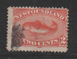 Newfoundland, Used, 1887, Michel  37 - 1865-1902