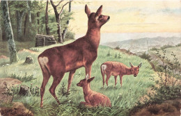 ARTS - Peintures Et Tableaux - Une Biche Et Ses Faons - Carte Postale Ancienne - Malerei & Gemälde