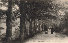 FRANCE - Tréveneuc - Sous Bois - Route Du Palus - Carte Postale Ancienne - Saint-Brieuc