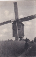 Asse - Molen - Asse