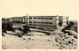 BELGIQUE - Home Du Grand Air De Liège - Colonnie Scolaire Et école De Plein Air De Coq/Mer - Carte Postale Ancienne - De Haan