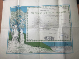 Certificat D' Etudes Primaires 1941 - Bouches Du Rhone - Illustration De Léo Lelée ( Cueillette Des Olives) / RARE - Diplomi E Pagelle