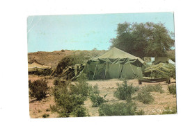 Cpm - SAUDI ARABIA -  Région Ouest - Tente Bédouine - 1984 - - Photo Gérard Delorme N°749 - Saudi-Arabien