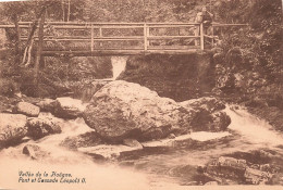 PHOTOGRAPHIE - La Hoëgne - Pont Et Cascade Léopold II - Carte Postale Ancienne - Photographie