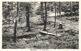 BELGIQUE - Luxembourg - Nassogne - La Masblette - Carte Postale Ancienne - Nassogne