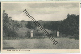 Schloss Hamborn - Blick Von Der Schlossterrasse - Verlag Ludwig Blum Paderborn - Bad Driburg
