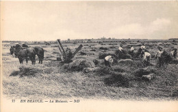 EN BEAUCE- LA MOISSON - Cultivation