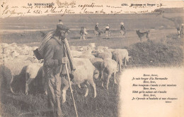 LA NORMANDIE- MOUTONS ET BERGER - Viehzucht