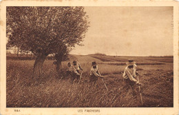 LES FAUCHEURS - Cultivation