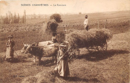 SCENES CHAMPÊTRE- LA FENAISON - Cultivation