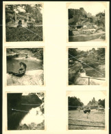 12x Orig. Foto 1960, Tierpark Hagenbeck In Hamburg, Ortspartie Ansichten Und Einblicke - Stellingen