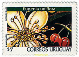 92613 MNH URUGUAY 1999 FLORES DE URUGUAY - Uruguay