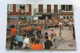 Cpm, Hasparren, Courses De Vaches Dans Les Rues, Pyrénées Atlantiques 64 - Hasparren