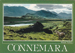 AK 168236 IRELAND - Connemara - Maam Valley - Autres & Non Classés
