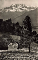 Paysage Au Dessus De Montreux Dents Du Midi Narcisses 1943 - Montreux