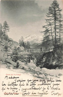 Pont Sur La Viège 1906 Vallée De Zermatt Rondins Mélèzes Torrent - Viège