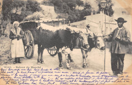 CPA 03 ALLIER / BOURBONNAIS / RETOUR DU MARCHE - Sonstige & Ohne Zuordnung