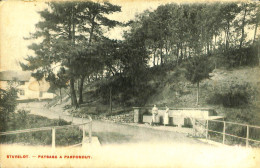 Belgique - Liège - Stavelot - Paysage A Parfonduy - Stavelot