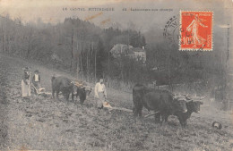 CPA 15 LE CANTAL PITTORESQUE / LABOUREURS AUX CHAMPS - Autres & Non Classés