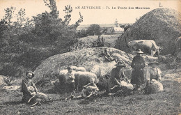 CPA 15 CANTAL / EN AUVERGNE / LA TONTE DES MOUTONS - Autres & Non Classés