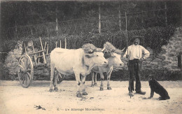 MORVAN- UNE ATTELAGE MORVANDEAU - Attelages