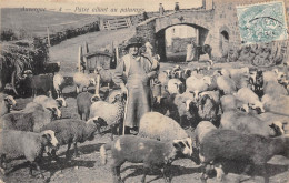 AUVERGNE- PÂTRE ALLANT AU PÂTURAGE - Viehzucht