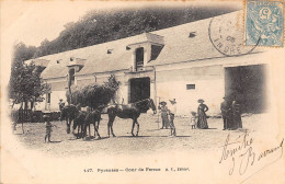 PYRENEES- COUR DE FERME - Granja